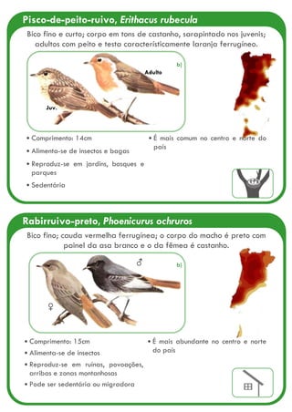 Rabirruivo-preto, Phoenicurus ochruros
♀
♂
Comprimento: 15cm
Alimenta-se de insectos
Reproduz-se em ruínas, povoações,
arribas e zonas montanhosas
Pode ser sedentária ou migradora
É mais abundante no centro e norte
do país
Bico fino; cauda vermelha ferrugínea; o corpo do macho é preto com
painel da asa branco e o da fêmea é castanho.
Pisco-de-peito-ruivo, Erithacus rubecula
Comprimento: 14cm
Alimenta-se de insectos e bagas
Reproduz-se em jardins, bosques e
parques
Sedentária
É mais comum no centro e norte do
país
Adulto
Juv.
Bico fino e curto; corpo em tons de castanho, sarapintado nos juvenis;
adultos com peito e testa característicamente laranja ferrugíneo.
b)
b)
 