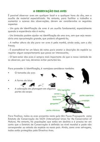 A OBSERVAÇÃO DAS AVES
É possível observar aves em qualquer local e a qualquer hora do dia, sem o
auxílio de material especializado. No entanto, para facilitar o trabalho e
aumentar o sucesso das observações, devem ser considerados os seguintes
aspectos:
- Um guia de identificação de aves é um auxílio fundamental, especialmente
quando a experiência não é muita;
- Uns binóculos podem ajudar na identificação de uma ave, sem que seja neces-
sário uma aproximação grande, que poderá afugentá-la;
- A melhor altura do dia para ver aves é pela manhã, ainda cedo, com o dia
fresco;
- É aconselhável ter um bloco de notas para anotar a descrição da espécie ou
registar algum comportamento que possa ser interessante;
- O bem-estar das aves é sempre mais importante do que a nossa vontade de
as observar, por isso, devemos evitar perturbá-las.
Para proceder à identificação, é vantajoso considerar também:
O tamanho da ave:
A forma do bico:
A coloração da plumagem em algumas
partes do corpo:
Para finalizar, todas as aves presentes neste guia têm Pouco Preocupante como
Estatuto de Conservação da IUCN (International Union for the Conservation of
Nature). No entanto, há populações que estão em declínio e é preciso ter em
conta que o Estatuto de Conservação é definido ao nível mundial e pode não
corresponder ao estado da espécie no nosso país. Ainda, como aves selvagens,
todas estão protegidas pela Directiva Aves.
coroa nuca
testa
lista supraciliar
bochecha uropígio
peito caudaasas
partes inferiores
partes superiores
garganta
 