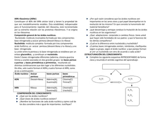 ARN ribosómico (ARNr)
Constituyen el 80% del ARN celular total y tienen la propiedad de
que son metabólicamente estables. ...
