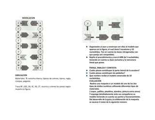 MODELACION

Organízalos al azar y construye con ellas el modelo que
aparece en la figura, el cual tiene 5 escalones y 10
n...