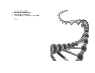 Desarrollo de la guía 25%
Realización de la maqueta 25%
Exposición de la maqueta 25%
Examen tradicional de los ácidos nucl...