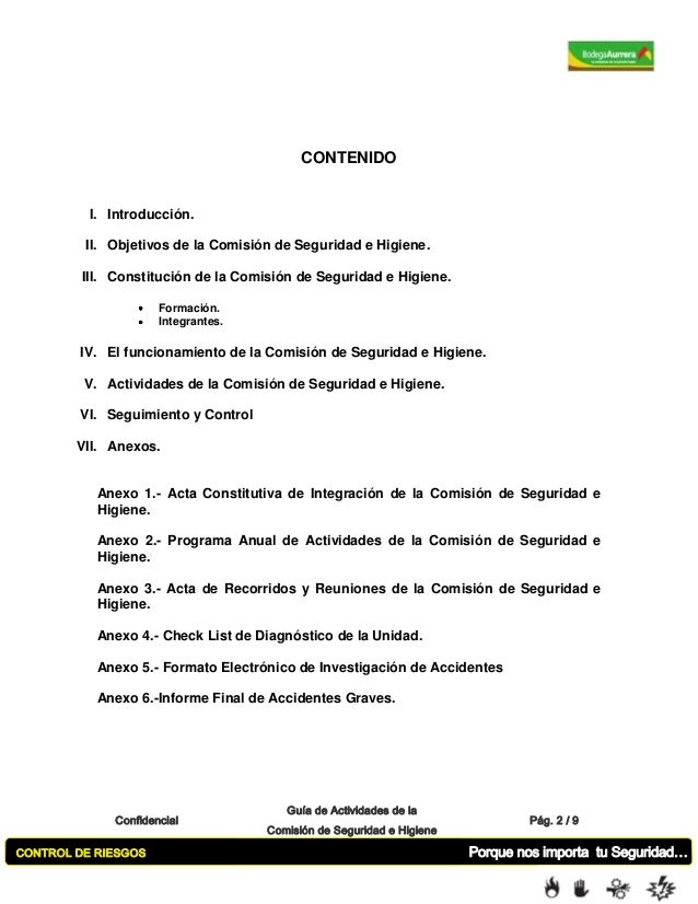 Guia de actividades de la comision de seguridad e higiene Antonio Banderas