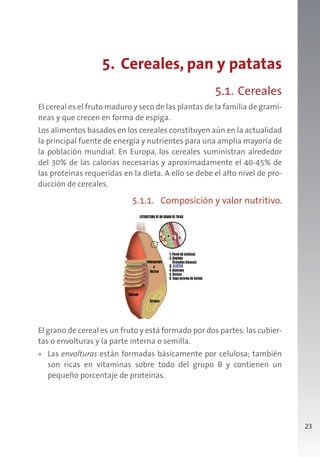 23
5. Cereales, pan y patatas
5.1. Cereales
El cereal es el fruto maduro y seco de las plantas de la familia de gramí-
neas y que crecen en forma de espiga.
Los alimentos basados en los cereales constituyen aún en la actualidad
la principal fuente de energía y nutrientes para una amplia mayoría de
la población mundial. En Europa, los cereales suministran alrededor
del 30% de las calorías necesarias y aproximadamente el 40-45% de
las proteínas requeridas en la dieta. A ello se debe el alto nivel de pro-
ducción de cereales.
5.1.1. Composición y valor nutritivo.
El grano de cereal es un fruto y está formado por dos partes: las cubier-
tas o envolturas y la parte interna o semilla.
» Las envolturas están formadas básicamente por celulosa; también
son ricas en vitaminas sobre todo del grupo B y contienen un
pequeño porcentaje de proteínas.
 