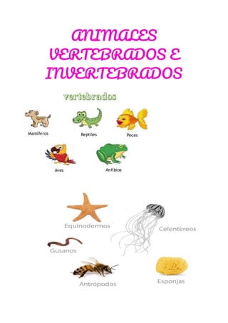 ANIMALES 
VERTEBRADOS E 
INVERTEBRADOS 
 
 
 
 
 
 
 
 
 
 
 
 