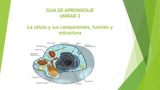 GUIA DE APRENDIZAJE
UNIDAD 2
La célula y sus componentes, función y
estructura
 