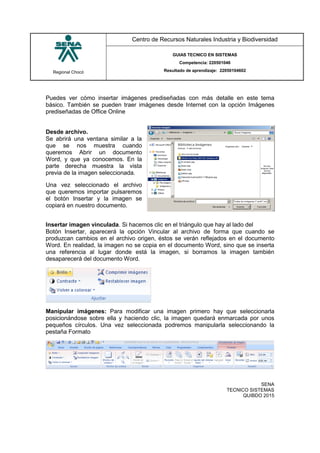 Regional Chocó
Centro de Recursos Naturales Industria y Biodiversidad
GUIAS TECNICO EN SISTEMAS
Competencia: 220501046
Resultado de aprendizaje: 22050104602
SENA
TECNICO SISTEMAS
QUIBDO 2015
Puedes ver cómo insertar imágenes prediseñadas con más detalle en este tema
básico. También se pueden traer imágenes desde Internet con la opción Imágenes
prediseñadas de Office Online
Desde archivo.
Se abrirá una ventana similar a la
que se nos muestra cuando
queremos Abrir un documento
Word, y que ya conocemos. En la
parte derecha muestra la vista
previa de la imagen seleccionada.
Una vez seleccionado el archivo
que queremos importar pulsaremos
el botón Insertar y la imagen se
copiará en nuestro documento.
Insertar imagen vinculada. Si hacemos clic en el triángulo que hay al lado del
Botón Insertar, aparecerá la opción Vincular al archivo de forma que cuando se
produzcan cambios en el archivo origen, éstos se verán reflejados en el documento
Word. En realidad, la imagen no se copia en el documento Word, sino que se inserta
una referencia al lugar donde está la imagen, si borramos la imagen también
desaparecerá del documento Word.
Manipular imágenes: Para modificar una imagen primero hay que seleccionarla
posicionándose sobre ella y haciendo clic, la imagen quedará enmarcada por unos
pequeños círculos. Una vez seleccionada podremos manipularla seleccionando la
pestaña Formato
 