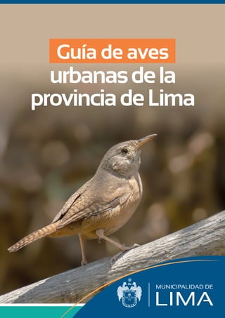 urbanasdela
provinciadeLima
Guía de aves
 