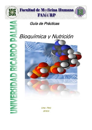 1
0
Guía de Prácticas
Bioquímica y Nutrición
Lima - Perú
2016-II
 