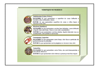 VERIFIQUE NO MARISCO
 