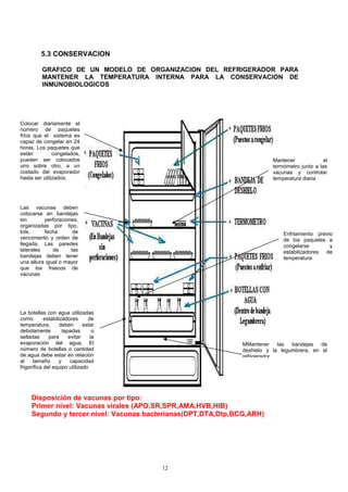 5.3 CONSERVACION

          GRAFICO DE UN MODELO DE ORGANIZACION DEL REFRIGERADOR PARA
          MANTENER LA TEMPERATURA INTERNA PARA LA CONSERVACION DE
          INMUNOBIOLOGICOS




Colocar diariamente el
número de paquetes
fríos que el sistema es
capaz de congelar en 24
horas. Los paquetes que
están          congelados,
pueden ser colocados                                                      Mantener             el
uno sobre otro, a un                                                      termómetro junto a las
costado del evaporador                                                    vacunas y controlar
hasta ser utilizados.                                                     temperatura diaria




Las vacunas deben
colocarse en bandejas
sin       perforaciones,
organizadas por tipo,
lote,     fecha       de                                                      Enfriamiento previo
vencimiento y orden de                                                        de los paquetes a
llegada. Las paredes                                                          congelarse        y
laterales     de     las                                                      estabilizadores de
bandejas deben tener                                                          temperatura
una altura igual o mayor
que los frascos de
vacunas




La botellas con agua utilizadas
como        estabilizadores      de
temperatura,       deben       estar
debidamente          tapadas       o
selladas      para      evitar    la
evaporación del agua. El                                       MMantener    las  bandejas   de
número de botellas o cantidad                                  deshielo y la legumbrera, en el
de agua debe estar en relación                                 refrigerador
al    tamaño       y     capacidad
frigorífica del equipo utilizado




     Disposición de vacunas por tipo:
     Primer nivel: Vacunas virales (APO,SR,SPR,AMA,HVB,HIB)
     Segundo y tercer nivel: Vacunas bacterianas(DPT,DTA,Dtp,BCG,ARH)




                                        12
 