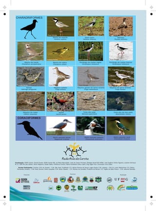 CORACIIFORMES
Martim pescador grande
Megaceryle torquata
Martim pescador pequeno
Chloroceryle americana
Martim pescador verde
Chloroceryle amazona
Paula Nóbrega Paula Nóbrega Frederico Pereira
RealizaçãoParceiros
UFMG
Patrocínio
CHARADRIIFORMES
Batuíra-de-esporão
Vanellus cayanus
Quero-quero
Vanellus chilensis
Batuíra-de-coleira
Charadrius collaris
Pernilongo-de-costas-negras
Himantopus mexicanus
Batuiruçu
Pluvialis dominica
Batuíra-de-bando
Charadrius semipalmatus
Pernilongo-de-costas-brancas
Himantopus melanurus
Narceja
Gallinago paraguaiae
Maçarico-solitário
Tringa solitaria
Maçarico-de-colete
Calidris melanotos
Maçarico-grande-de-perna-amarela
Tringa melanoleuca
Maçarico-de-perna-amarela
Tringa flavipes
Jaçanã
Jacana jacana
Trinta-réis-anão
Sternula superciliaris
Trinta-réis-de-bico-preto
Gelochelidon nilotica
Paula Nóbrega Paula Nóbrega
Paula Nóbrega
Paula NóbregaPaula Nóbrega
Paula Nóbrega
Paula Nóbrega
Paula Nóbrega
Paula Nóbrega
Leandro Silva
Frederico Pereira Mario Candeias
Frederico Pereira
Anselmo D'Affonseca Matheus Nascimento
Coordenação: SCBH Carste: Daniel Duarte; SCBH Carste/Rib. da Mata/Manuelzão: José de Castro Procópio; Biologia Geral ICB/UFMG: José Eugênio Côrtes Figueira, Leandro Herinque
M. S.; CBH Rio das Velhas: Derza Nogueira, Gisele Sales; Prefeitura Confins: Maria Auxiliadora Silva Lopes; Ong Lagoa Viva: Conceição Lima Lopes.
Escolas Participantes: Confins: E.M. de Tavares - E.M. São José; Funilândia: E.E. Aluísio Ferreira de Souza; Lagoa Santa: E.M. Lapinha - E.M. Dr. Lund; Matozinhos: E.E. Felícia
Fernandes Campos - E.M. Ester Gomes; Pedro Leopoldo: E.M. Heitor Claudio - E.E. Romero de Carvalho; Prudente de Morais: E.E. Virgílio de Melo Franco - E.M. Jeliomar Brandão.
 