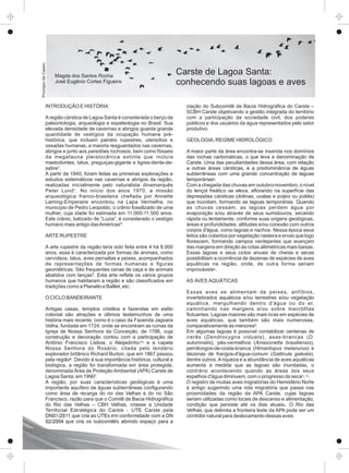 INTRODUÇÃO E HISTÓRIA
Aregião cárstica de Lagoa Santa é considerada o berço da
paleontologia, arqueologia e espeleologia no Brasil. Sua
elevada densidade de cavernas e abrigos guarda grande
quantidade de vestígios da ocupação humana pré-
histórica, que incluem painéis rupestres, utensílios e
ossadas humanas, a maioria resguardados nas cavernas,
abrigos e junto aos paredões rochosos, bem como fósseis
da megafauna pleistocênica extinta que incluía
mastodontes, tatus, preguiças-gigante e tigres-dente-de-
sabre¹.
A partir de 1840, foram feitas as primeiras explorações e
estudos sistemáticos nas cavernas e abrigos da região,
realizadas inicialmente pelo naturalista dinamarquês
Peter Lund¹. No início dos anos 1970, a missão
arqueológica franco-brasileira cheﬁada por Annette
Laming-Emperaire encontrou na Lapa Vermelha, no
município de Pedro Leopoldo, o crânio fossilizado de uma
mulher, cuja idade foi estimada em 11.000-11.500 anos.
Este crânio, batizado de “Luzia”, é considerado o vestígio
humano mais antigo dasAméricas².
ARTE RUPESTRE
A arte rupestre da região teria sido feita entre 4 há 8.000
anos, essa é caracterizada por formas de animais, como
cervídeos, tatus, aves pernaltas e peixes, acompanhados
de representações de formas humanas e ﬁguras
geométricas. São frequentes cenas de caça e de animais
abatidos com lanças³. Esta arte reﬂete os vários grupos
humanos que habitaram a região e são classiﬁcados em
tradições como a Planalto e Balllet, etc.
O CICLO BANDEIRANTE
Antigas casas, templos cristãos e fazendas em estilo
colonial são atrações e últimos testemunhos de uma
história mais recente, como é o caso da Fazenda Jagoara
Velha, fundada em 1724, onde se encontram as ruínas da
Igreja de Nossa Senhora da Conceição, de 1786, cuja
construção e decoração contou com a participação de
Antônio Francisco Lisboa, o Aleijadinho e a capela4 5,
Nossa Senhora do Rosário, citada pelo lendário
explorador britânico Richard Burton, que em 1867 passou
pela região . Devido à sua importância histórica, cultural e6
biológica, a região foi transformada em área protegida,
denominada Área de Proteção Ambiental (APA) Carste de
Lagoa Santa, em 1990 .7
A região, por suas características geológicas é uma
importante aquífero de águas subterrâneas conﬁgurando
como área de recarga do rio das Velhas e do rio São
Francisco, razão para que o Comitê de Bacia Hidrográﬁca
do Rio das Velhas – CBH Velhas, criasse a Unidade
Territorial Estratégica do Carste - UTE Carste pela
DN01/2011 que cria as UTEs em conformidade com a DN
02/2004 que cria os subcomitês abrindo espaço para a
ciação do Subcomitê de Bacia Hidrográﬁca do Carste –
SCBH Carste objetivando a gestão integrada do território
com a participação da sociedade civil, dos poderes
públicos e dos usuários da água representados pelo setor
produtivo.
GEOLOGIA, REGIME HIDROLÓGICO
A maior parte da área encontra-se inserida nos domínios
das rochas carbonáticas, o que leva a denominação de
Carste. Uma das peculiaridades dessa área, com relação
a outras áreas cársticas, é a predominância de águas
subterrâneas com uma grande concentração de lagoas
8temporárias .
Com a chegada das chuvas em outubro-novembro, o nível
do lençol freático se eleva, aﬂorando na superfície das
depressões cársticas (dolinas, uvalas e poljes ou poliês)
que inundam, formando as lagoas temporárias. Quando
as chuvas cessam, as lagoas perdem água por
evaporação e/ou através de seus sumidouros, secando
rápida ou lentamente, conforme suas origens geológicas,
áreas e profundidades, altitudes e/ou conexão com outros
corpos d'água, como lagoas e riachos. Nessa época seus
leitos são cobertos por vegetação rasteira e ervas que logo
ﬂorescem, formando campos verdejantes que avançam
das margens em direção às cotas altimétricas mais baixas.
Essas lagoas e seus ciclos anuais de cheias e secas
possibilitam a ocorrência de dezenas de espécies de aves
aquáticas na região, onde, de outra forma seriam
improváveis .8
AS AVES AQUÁTICAS
Essas aves se alimentam de peixes, anfíbios,
invertebrados aquáticos e/ou terrestres e/ou vegetação
aquática, mergulhando dentro d'água ou do ar,
caminhando nas margens e/ou sobre macróﬁtas
ﬂutuantes. Lagoas maiores são mais ricas em espécies de
aves aquáticas, que também são mais numerosas,
comparativamente às menores .8
Em algumas lagoas é possível contabilizar centenas de
irerês (Dendrocygna viduata), asas-brancas (D.
autumnalis), pés-vermelhos (Amazonetta brasiliensis),
pernilongos-de-costa-branca (Himantopus melanurus) e
dezenas de frangos-d'água-comum (Gallinula galeata),
dentre outros.Ariqueza e a abundância de aves aquáticas
aumenta à medida que as lagoas são inundadas, o
contrário acontecendo quando as áreas dos seus
espelhos d'água diminuem, com o progresso da seca .8 14,
O registro de muitas aves migratórias do Hemisfério Norte
é antigo sugerindo uma rota migratória que passa nas
proximidades da região da APA Carste, cujas lagoas
seriam utilizadas como locais de descanso e alimentação,
condição que persiste até os dias atuais . O Rio das9
Velhas, que delimita a fronteira leste da APA pode ser um
corredor natural para deslocamento dessas aves.
Carste de Lagoa Santa:
conhecendo suas lagoas e aves
Magda dos Santos Rocha
José Eugênio Cortes Figueira
ProcópiodeCastro
 