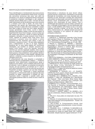 IDENTIFICAÇÃO E MONITORAMENTO DEAVES
Para a identiﬁcação e o monitoramento das aves é preciso
conhecer algumas características desse grupo. As penas
são estruturas exclusivas das aves, que além de
permitirem o voo, atuam no isolamento térmico necessário
à endotermia, propiciam camuﬂagem e são usadas na
exibição sexual voltada para a corte . Os tipos de bicos10
estão relacionados ao tipo de alimento que a ave consome
e a maneira como esse é obtido. Os bicos ﬁnos e
pontiagudos das garças são desenhados para ﬁsgar
peixes; marrecas e patos têm bicos achatados e largos
para ﬁltrar a água no fundo dos rios e lagos; gaviões e
corujas apresentam bicos fortes, curvos e aﬁados,
utilizados para abater e rasgar a carne de suas presas; os
beija-ﬂores têm bicos ﬁnos e longos, curvos ou retos que
são usados para alcançar o néctar no interior das ﬂores;
papagaios, periquitos e araras possuem bicos fortes e
curtos, capazes de quebrar frutos muito duros; bicos
pequenos e grossos como dos sabiás e outros
passeriformes são eﬁcientes para dietas a base de
sementes e pequenos frutos . Os pés estão adaptados10
para o deslocamento no solo ou na água. Espécies
aquáticas têm os seus dedos ligados por membranas
interdigitais, que auxiliam na natação, enquanto que
dígitos muito longos, como dos jaçanãs, permitem
caminhar por cima da vegetação aquática. Aves de solo
como os inhambus e macucos possuem pernas curtas e
dedos grossos.Aves predadoras, como gaviões, falcões e
corujas têm garras fortes e unhas aﬁadas, utilizadas para
capturar e sustentar a presa enquanto se alimentam ou
11carregam-na em voo .
O comportamento das aves desperta a curiosidade e
12 13interesse pela sua complexidade e beleza , . Podemos
perguntar como determinado comportamento ajusta a
espécie ao seu habitat, como é moldado pela busca e tipo
de alimento, como é alterado na presença de parceiros
sexuais, por que durante o voo formam um 'V', onde e
como são construídos os ninhos, de onde vêm as aves que
frequentam as lagoas, quando e por que elas chegam e
quando partem, etc. Responder a essas perguntas
enriquecerá o conhecimento sobre as espécies das aves
presente na região, despertando a empatia por elas.
Importante ainda é responder a questão sobre quais
informações podemos obter ao contar as aves e medir as
lagoas?
IDENTIFICANDO PÁSSAROS
Observadores e estudiosos de aves devem utilizar,
quando possível, roupas leves, confortáveis e que permita
liberdade de movimentos, com cores discretas para não
espantar as aves. Binóculos e lunetas são instrumentos
que auxiliam na observação, pois permite aumentar o seu
alcance visual, fundamental para a identiﬁcação das
espécies e/ou observação de seus hábitos. Para a
identiﬁcação das espécies é preciso avaliar o tamanho da
ave, a coloração da plumagem e da sua distribuição pelo
corpo, e ainda detalhes como faixas na asa e na cauda,
máscara, manchas e estrias, cor do bico, dos pés, dos
olhos, a forma do bico, etc., utilizado sempre que possível
registro fotográﬁco e um caderno de campo para
anotações e desenhos.
REFERÊNCIABIBLIOGRÁFICA
1. CARTELLE, C. Pleistocene mammals of the Cerrado
and Caatinga of Brazil. In: Eisenberg, J.F., Redford, K.H.
(Eds.), Mammals of the Neotropics. The Central Tropics,
vol. 3.The University of Chicago Press, pp. 27 e 46, 1999.
2. PROUS, A., FOGAÇA, E., RIBEIRO, L. Patrimônio
arqueológico. In: APA Carste de Lagoa Santa - Patrimônio
Espeleológico, Histórico e Cultural. Belo Horizonte,
CPRM/IBAMA. 22 p., anexos e mapas. 1998.
3. BAETA, A.L. Os Graﬁsmos Rupestres e suas Unidades
Estilísticas no Carste de Lagoa Santa e Serra do Cipó –
MG. Tese (Doutorado emArqueologia Brasileira do Museu
de Arqueologia e Etnologia) Universidade de São Paulo.
280p. 2011.
4. INSTITUTO TERRAZUL– CULTURA, COMUNICAÇÃO
E MEIO AMBIENTE. Relatório de Expedição – Caminhos
Antigos das Minas à Bahia. Disponível em:
http://www.terrazul.org.br/Caminho7/relatorio.pdf. 2007.
5. CARVALHO E.S. 2014. Fazendas da região cárstica do
Rio das Velhas. In-Situ: Informativo do Centro de
ArqueologiaAnnette Laming Emperaire, 5: 4.
6. BURTON, R. F. Viagem de Canoa de Sabará ao oceano
Atlântico. Editora Itatiaia, 1977.
7. HERRMANN, G., KOHLER, H.C., J.C. DUARTE,
CARVALHO, P.G.S. (coord.). Estudo do meio biótico. Belo
Horizonte: IBAMA/CPRM vol. II. 92p. 1998.
8. FIGUEIRA, J.E.C., NÓBREGA, P.F.A., AGUIAR, J.A.B.,
DORNAS, T., LIMA, A.M., DRUMOND, M.A.. New Ramsar
Site Proposal - Peter Lund Karst, Minas Gerais State,
Brazil. Documento submetido para avaliação pelo
Ministério do MeioAmbiente – MMA. 2014.
9. NÓBREGA, P.F.A.,AGUIAR, J.A.B. & FIGUEIRA, J.E.C.
First Records of Charadrius semipalmatus, Bonaparte
1825 (Charadriidae) and Gelochelidon nilotica Gmelin
1789 (Sternidae) in the State of Minas Gerais, Brazil.
Brazilian Journal of Biology, no prelo.
10. POUGH, F., HARVEY, JANIS, C. M., HEISER, J. B. A
vida dos vertebrados, Atheneu Editora, 4º ed. São Paulo,
2008.
11. EFE, M. A. Guia prático do observador de aves. Pro
aves. 1999
12. Wikiaves. O comportamento das aves. Disponível em
<http://www.wikiaves.com/comportamento>. Acesso em
23 de maio de 2015.
13. DEL-CLARO, K. Comportamento Animal: Uma
introdução à ecologia comportamental. Livraria Conceito,
Jundiaí – SP, 2004.
14. FIGUEIRA, J.E.C., T. DORNAS, F.A.MOURÃO & M.
RODRIGUES 2008. Aves aquáticas das lagoas
temporárias do Carste de Lagoa Santa, MG. Cadernos
Manuelzão - Edição Especial / Lagoas Cársticas 5: 41-50.
ProcópiodeCastro
 