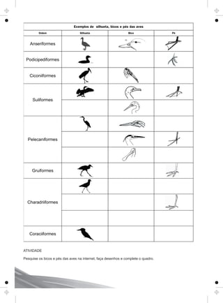 Exemplos de silhueta, bicos e pés das aves
Ordem Silhueta Bico Pé
Anseriformes
Podicipediformes
Ciconiiformes
Suliformes
Pelecaniformes
Gruiformes
Charadriiformes
Coraciiformes
ATIVIDADE
Pesquise os bicos e pés das aves na internet, faça desenhos e complete o quadro.
 