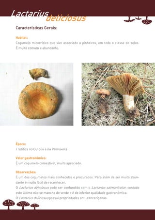 Lactarius
        deliciosus
 Características Gerais:

 Habitat:
 Cogumelo micorrízico que vive associado a pinheiros, em toda a classe de solos.
 É muito comum e abundante.




 Época:
 Frutifica no Outono e na Primavera

 Valor gastronómico:
 É um cogumelo comestível, muito apreciado.

 Observações:
 É um dos cogumelos mais conhecidos e procurados. Para além de ser muito abun-
 dante é muito fácil de reconhecer.
 O Lactarius deliciosus pode ser confundido com o Lactarius salmonicolor, contudo
 este último não se mancha de verde e é de inferior qualidade gastronómica.
 O Lactarius deliciosus possui propriedades anti-cancerígenas.
 
