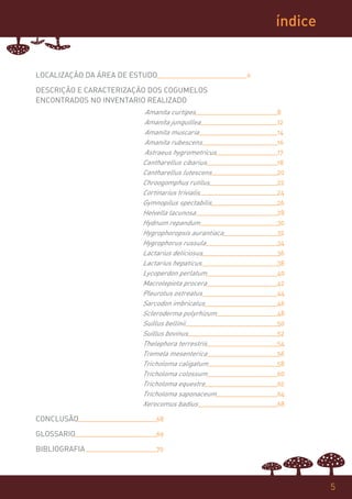índice


LOCALIZAÇÃO DA ÁREA DE ESTUDO                        6

DESCRIÇÃO E CARACTERIZAÇÃO DOS COGUMELOS
ENCONTRADOS NO INVENTARIO REALIZADO
                          Amanita curtipes               8
                         Amanita junquillea              12
                         Amanita muscaria                14
                         Amanita rubescens               16
                         Astraeus hygrometricus          17
                         Cantharellus cibarius           18
                         Cantharellus lutescens          20
                         Chroogomphus rutilus            22
                         Cortinarius trivialis           24
                         Gymnopilus spectabilis          26
                         Helvella lacunosa               28
                         Hydnum repandum                 30
                         Hygrophoropsis aurantiaca       32
                         Hygrophorus russula             34
                         Lactarius deliciosus            36
                         Lactarius hepaticus             38
                         Lycoperdon perlatum             40
                         Macrolepiota procera            42
                         Pleurotus ostreatus             44
                         Sarcodon imbricatus             46
                         Scleroderma polyrhizum          48
                         Suillus bellinii                50
                         Suillus bovinus                 52
                         Thelephora terrestris           54
                         Tremela mesenterica             56
                         Tricholoma caligatum            58
                         Tricholoma colossum             60
                         Tricholoma equestre             62
                         Tricholoma saponaceum           64
                         Xerocomus badius                68

CONCLUSÃO                    68

GLOSSARIO                    69

BIBLIOGRAFIA                 70




                                                                  5
 