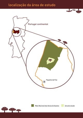 localização da área de estudo




            Portugal continental
 