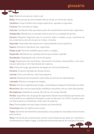 glossário

Anel: Resto de véu parcial, sobre o pé.
Bolbo: Parte grossa da extremidade inferior do pé, em forma de cebola.
Carpóforo: Corpo frutífero dos fungos superiores, equivale a cogumelo.
Coriáceo: De consistência rígida.
Cutícula: Camada de hifas que fazem parte do revestimento externo dos cogumelos.
Endoperídio: Membrana ou camada interna que forra a cavidade do perídio.
Escama: Pequeno fragmento que se encontra sobre o chapéu ou pé, resultante do
véu universal ou da cutícula que se rompe, e levanta.
Esporada: Impressão dos esporos em massa deixada numa superfície.
Esporo: Elemento reprodutor dos cogumelos.
Estipe ou pé: Parte do carpóforo que sustém o chapéu.
Exoperídio: Membrana ou camada externa que envolve o perídio.
Exsudações: Segregação sob a forma de gotas.
Fungo: Organismo vivo eucariótico, tipicamente miceliano, heterotrófico, com nutri-
ção por absorção e com reprodução por esporos.
Hifa: Célula de fungo, geralmente alongada em forma de filamento.
Himénio: Conjunto alinhado de células férteis.
Lamela: Como uma lâmina, mas mais pequena.
Lâmina: Elemento do himenóforo onde estão as estruturas reprodutoras.
Lobulado: Relativo à margem do chapéu.
Micélio: Estrutura vegetativa dos fungos, constituída por pequenos filamentos ou hifas.
Micorrízico: Que vive em associação simbiótica mutualista com as raízes das plantas.
Mucilaginosa: Substância viscosa, fácil de ver em tempo húmido.
Perídio: Esporóforo de um grupo de cogumelos (Gasteromycetes) que apresenta uma
forma esférica ou subesférica fechada, ou que se abre por um orifício na parte supe-
rior (poro apical ou ostíolo) por onde saem os esporos.
Poro: Extremidade livre dos tubos (relativo ao himenóforo).
Tomentosa: Que tem pêlos muito curtos.
Tubos: Elemento do himenóforo dos boletos e dos políporos revestidos interiormente
pelo himénio.
Volva: Porção do véu universal que envolve a parte basal do pé; pode ser resistente e
membranosa ou frágil e fugaz, e então permanecendo apenas em vestígios flocosos.



                                                                                          69
 