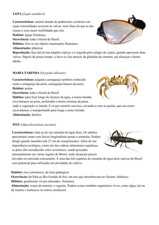 LEPA (Lepas anatifera)
Características: animal dotado de pedúnculos coriáceos em
cujas extremidades ocorrem as valvas, mais finas do que as das
cracas e com maior mobilidade que elas.
Habitat: águas litorâneas
Ocorrência: todo o litoral do Brasil.
Hábitos: fixa-se em objetos inanimados flutuantes.
Alimentação: plâncton
Reprodução: fase larval tem náuplios típicos e é seguida pelo estágio de cypris, quando apresenta duas
valvas. Depois de pouco tempo, a larva se fixa através da glândula de cimento, até alcançar a forma
adulta.
MARIA FARINHA (Ocypode albicans)
Características: pequeno caranguejo também conhecido
como c aranguejo-da-areia, caranguejo-branco-da-areia.
Habitat: praias
Ocorrência: todo o litoral do Brasil
Hábitos: para ficar longe do alcance da água, a maria-farinha
cava buracos na areia, preferindo o limite extremo da praia,
onde a vegetação se instala. É aí que constrói sua toca, cavando-a com as quelas, que usa como
escavadeiras, e transportando para longe a areia retirada.
Alimentação: detritos
PITU (Macrobrachium carcinus)
Características: trata-se de um camarão de água doce. Os adultos
apresentam corpo com faixas longitudinais pretas e amarelas. Podem
atingir grande tamanho (até 27 cm de comprimento). Além de sua
importância ecológica, como elo das cadeias alimentares aquáticas,
os pitus têm reconhecido valor econômico, sendo pescados
artesanalmente em várias regiões do Brasil, onde alcançam preços
elevados no mercado consumidor. É uma das três espécies de camarão de água doce nativas do Brasil
com potencial para utilização em atividades de cultivo.
Habitat: rios correntosos, de leito pedregoso.
Ocorrência: do Pará ao Rio Grande do Sul, em rios que desembocam no Oceano Atlântico.
Hábitos: geralmente vivem entocados. Noturnos.
Alimentação: restos de animais e vegetais. Podem comer também organismos vivos, como algas, larvas
de insetos e moluscos ou outros crustáceos.
 