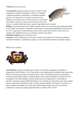 TATUÍ (Emerita brasiliensis)
Características: pequeno crustáceo de mais ou menos 4 cm de
comprimento, também conhecido por "tatuíra" ou "tatuzinho".
Cefalotórax alongado, semicilíndrico, com abdômen dobrado
por baixo. O tempo para esses animais corre junto com as
batidas de seu coração, locais de muito calor faz o coração bater
mais rápido, o animal vive menos, ao passo que em locais mais
frescos, o coração trabalha mais lento, e garante longevidade maior ao animal.
Hábitos: se movimenta junto com as ondas e perfura a areia com o retornar da água, produzindo bolhas
e um "furinho" característico. Costumam ser encontrados em nossas praias agrupados em áreas de mais
de 2 m 2 , grupos esses sempre próximos uns dos outros, sendo mais ou menos os mais novos nas
camadas mais superficiais da areia, e os grandes, um pouco mais abaixo.
Predadores naturais: peixes, crustáceos e aves.
Ameaças: é muito utilizado para isca de pesca e também como alimento. Por não tolerar poluição é
excelente bioindicador. A poluição por esgotos e excessiva freqüência humana são algumas ameaças.
UÇÁ (Ucides cordatus)
Características: crustáceo de grande porte, sendo u m dos maiores caranguejos que habitam os
manguezais do litoral brasileiro. Tem 10 pernas de cor arroxeada providas de grandes cerdas rijas na face
interna. O primeiro par de patas é bem desenvolvido e forte, terminando numa garra ou pinça (puã),
servindo para alimentação, defesa e atração da fêmea. Com as patas distendidas, ele alcança 30 cm de
envergadura. Como todo artrópode, realizam mudas (trocas de carapaça) para o crescimento do
indivíduo. Apresenta carapaça inflada lateralmente, com coloração que varia entre o azul, verde, amarelo
e branco. Apresentam dimorfismo sexual: os machos possuem abdome em forma de "t" invertido e as
fêmeas, abdome arredondado. Os machos desta espécie podem alcançar cerca de 70 e 89 mm de
comprimento e largura da carapaça, respectivamente, e as fêmeas 54,5 e 65 mm.
 