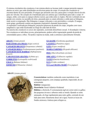 O sistema circulatório dos crustáceos é um sistema aberto ou lacunar onde o sangue preenche espaços
abertos ou seios, que estão distribuídos em diversas partes do corpo. O coração dos crustáceos se
encontra dentro do seio pericárdio. O sangue que preenche este seio, passa para o coração através de três
pares de válvulas. Do coração ele é bombeado para seis artérias que o distribuem para todo o corpo. O
sangue, então, corre para os espaços abertos (seios), que estão entre os órgãos. Daí ele é coletado em um
grande seio externo, no assoalho do tórax, passando para os canais aferentes e então para as brânquias,
onde ocorre a oxigenação. Das brânquias o sangue volta para o seio pericárdico e coração. O sangue,
neste grupo, geralmente contém um pigmento respiratório chamado hemocianina.
A respiração é realizada por brânquias, projeções plumosas da parede do corpo, irrigadas com vasos
sangüíneos e que estão localizadas ao longo de cada lado do tórax.
Na maioria dos crustáceos os sexos são separados, ocorrendo dimorfismo sexual. A fecundação é interna.
Nos crustáceos os indivíduos jovens, principalmente, podem sofrer regeneração quando da perda de
extremidades pares e olhos. Tal perda é reposta na muda, onde a estrutura é parcialmente formada.
ARATU (Aratus pisoni) GUAIAMU (Cardisoma guanhumi)
BARATINHA DA PRAIA (Ligia exotica) LAGOSTA (Panulirus argus)
CAMARÃO BRANCO (Litopenaeus schmitti) LEPA (Lepas anatifera)
CAMARÃO ROSA (Farfantepenaeus paulensis) MARIA FARINHA (Ocypode albicans)
CAMARÃO SETE BARBAS (Xiphopenaeus
kroyeri)
PITU (Macrobrachium carcinus)
CARANGUEJO ARANHA (Lybinia sp.) SIRI AZUL (Callinectes sapidus)
CORRUPTO (Lysiosquilla scabricaud) TATUÍ (Emerita brasiliensis)
CRACA (Balanus balanus) UÇÁ (Ucides cordatus)
ERMITÃO (Clibanarius vittatus) UCA ou CHAMA MARÉ (Uca pugnax)
ARATU (Aratus pisoni)
Características: também conhecido como marinheiro é um
caranguejo pequeno, com carapaça quadrada, trapezoidal, de cor
acinzentada.
Habitat: manguezais
Ocorrência: litoral Atlântico Ocidental
Hábitos: a rborícola. É extremamente ágil em correr entre os galhos
das pequenas árvores e arbustos onde se instala. Quando se sente
ameaçado, ele foge rapidamente para outro galho, correndo de um
lado para outro. Raramente desce até a água. Fazem as tocas em
fundos arenosos e lodosos para refugiar-se.
 