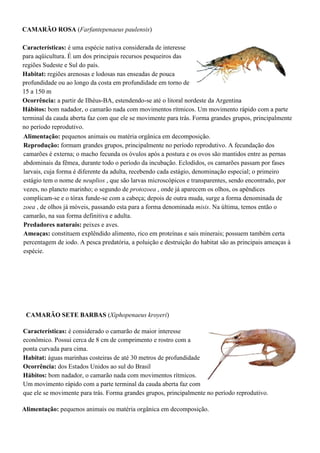CAMARÃO ROSA (Farfantepenaeus paulensis)
Características: é uma espécie nativa considerada de interesse
para aqüicultura. É um dos principais recursos pesqueiros das
regiões Sudeste e Sul do país.
Habitat: regiões arenosas e lodosas nas enseadas de pouca
profundidade ou ao longo da costa em profundidade em torno de
15 a 150 m
Ocorrência: a partir de Ilhéus-BA, estendendo-se até o litoral nordeste da Argentina
Hábitos: bom nadador, o camarão nada com movimentos rítmicos. Um movimento rápido com a parte
terminal da cauda aberta faz com que ele se movimente para trás. Forma grandes grupos, principalmente
no período reprodutivo.
Alimentação: pequenos animais ou matéria orgânica em decomposição.
Reprodução: formam grandes grupos, principalmente no período reprodutivo. A fecundação dos
camarões é externa; o macho fecunda os óvulos após a postura e os ovos são mantidos entre as pernas
abdominais da fêmea, durante todo o período da incubação. Eclodidos, os camarões passam por fases
larvais, cuja forma é diferente da adulta, recebendo cada estágio, denominação especial; o primeiro
estágio tem o nome de neuplios , que são larvas microscópicos e transparentes, sendo encontrado, por
vezes, no plancto marinho; o segundo de protozoea , onde já aparecem os olhos, os apêndices
complicam-se e o tórax funde-se com a cabeça; depois de outra muda, surge a forma denominada de
zoea , de olhos já móveis, passando esta para a forma denominada misis. Na última, temos então o
camarão, na sua forma definitiva e adulta.
Predadores naturais: peixes e aves.
Ameaças: constituem explêndido alimento, rico em proteínas e sais minerais; possuem também certa
percentagem de iodo. A pesca predatória, a poluição e destruição do habitat são as principais ameaças à
espécie.
CAMARÃO SETE BARBAS (Xiphopenaeus kroyeri)
Características: é considerado o camarão de maior interesse
econômico. Possui cerca de 8 cm de comprimento e rostro com a
ponta curvada para cima.
Habitat: águas marinhas costeiras de até 30 metros de profundidade
Ocorrência: dos Estados Unidos ao sul do Brasil
Hábitos: bom nadador, o camarão nada com movimentos rítmicos.
Um movimento rápido com a parte terminal da cauda aberta faz com
que ele se movimente para trás. Forma grandes grupos, principalmente no período reprodutivo.
Alimentação: pequenos animais ou matéria orgânica em decomposição.
 