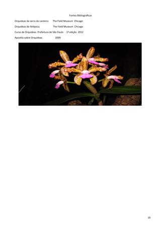 16
Fontes Bibliográficas
Orquideas da serra da canteira The Field Museum Chicago
Orquideas de Ibitipoca The Field Museum Chicago
Curso de Orquídeas Prefeitura de São Paulo 1ª edição 2012
Apostila sobre Orquídeas 2009
 