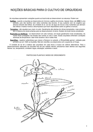 3
NOÇÕES BÁSICAS PARA O CULTIVO DE ORQUÍDEAS
As orquídeas apresentam variações quanto ao local onde se desenvolvem na natureza. Podem ser:
Epífitas - quando a orquídea se desenvolve em troncos e galhos de árvores. Apesar disso, ela NÃO é uma
parasita, pois não danifica nem retira nutrientes das árvores. O seu sustento vem do oxigênio que
absorve através das folhas, da umidade do ar, do sol, da água da chuva e dos nutrientes que derivam
das folhas e insetos mortos e decompostos que ficam depositados sobre os galhos e troncos.
Terrestres - são aquelas que vivem no solo. Geralmente são plantas de climas temperados, mais amenos;
têm o sistema de raízes próprias para se desenvolverem na terra. Gostam de local menos ensolarado.
Rupícolas ou litofíticas - se desenvolvem em solo rochoso, em locais geralmente muito ensolarados. As
raízes ficam protegidas nas fendas das rochas ou sob o mato. Essas orquídeas enfrentam condições
adversas de temperatura: calor forte durante o dia e noites frias
Saprófitas - espécie subterrânea que cresce e floresce no subsolo, a Rhizanthella garneri, coletada pela
primeira vez em 1928 na Austrália. Não tem clorofila e se desenvolve com a ajuda de um fungo.
A vontade de se ter a beleza das orquídeas em casa levou à busca de cultivos alternativos. Para o
desenvolvimento adequado da orquídea fora de seu habitat natural, precisamos estar atentos aos seguintes
fatores: luz, temperatura, umidade e água, adubação, substrato e vasos.
PARTES DAS PLANTAS E MODO DE CRESCIMENTO
 
