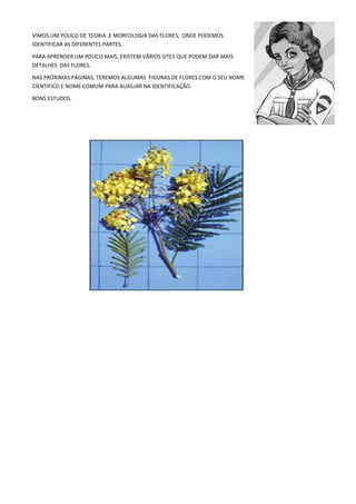 VIMOS UM POUCO DE TEORIA E MORFOLOGIA DAS FLORES, ONDE PODEMOS
IDENTIFICAR AS DIFERENTES PARTES.
PARA APRENDER UM POUCO MAIS, EXISTEM VÁRIOS SITES QUE PODEM DAR MAIS
DETALHES DAS FLORES.
NAS PRÓXIMAS PÁGINAS, TEREMOS ALGUMAS FIGURAS DE FLORES COM O SEU NOME
CIENTIFICO E NOME COMUM PARA AUXILIAR NA IDENTIFICAÇÃO.
BONS ESTUDOS.
 