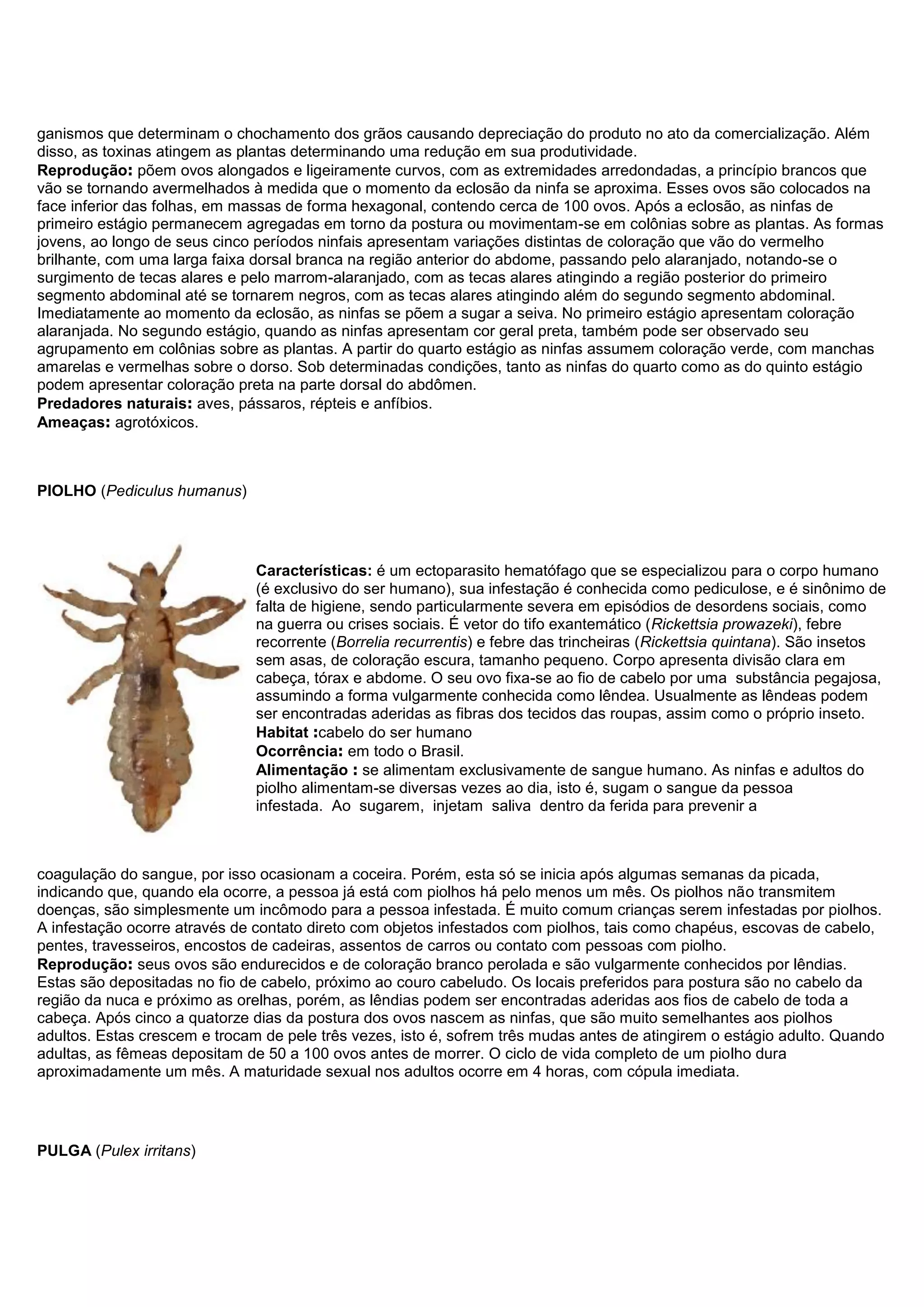 ganismos que determinam o chochamento dos grãos causando depreciação do produto no ato da comercialização. Além
disso, as toxinas atingem as plantas determinando uma redução em sua produtividade.
Reprodução: põem ovos alongados e ligeiramente curvos, com as extremidades arredondadas, a princípio brancos que
vão se tornando avermelhados à medida que o momento da eclosão da ninfa se aproxima. Esses ovos são colocados na
face inferior das folhas, em massas de forma hexagonal, contendo cerca de 100 ovos. Após a eclosão, as ninfas de
primeiro estágio permanecem agregadas em torno da postura ou movimentam-se em colônias sobre as plantas. As formas
jovens, ao longo de seus cinco períodos ninfais apresentam variações distintas de coloração que vão do vermelho
brilhante, com uma larga faixa dorsal branca na região anterior do abdome, passando pelo alaranjado, notando-se o
surgimento de tecas alares e pelo marrom-alaranjado, com as tecas alares atingindo a região posterior do primeiro
segmento abdominal até se tornarem negros, com as tecas alares atingindo além do segundo segmento abdominal.
Imediatamente ao momento da eclosão, as ninfas se põem a sugar a seiva. No primeiro estágio apresentam coloração
alaranjada. No segundo estágio, quando as ninfas apresentam cor geral preta, também pode ser observado seu
agrupamento em colônias sobre as plantas. A partir do quarto estágio as ninfas assumem coloração verde, com manchas
amarelas e vermelhas sobre o dorso. Sob determinadas condições, tanto as ninfas do quarto como as do quinto estágio
podem apresentar coloração preta na parte dorsal do abdômen.
Predadores naturais: aves, pássaros, répteis e anfíbios.
Ameaças: agrotóxicos.
PIOLHO (Pediculus humanus)
Características: é um ectoparasito hematófago que se especializou para o corpo humano
(é exclusivo do ser humano), sua infestação é conhecida como pediculose, e é sinônimo de
falta de higiene, sendo particularmente severa em episódios de desordens sociais, como
na guerra ou crises sociais. É vetor do tifo exantemático (Rickettsia prowazeki), febre
recorrente (Borrelia recurrentis) e febre das trincheiras (Rickettsia quintana). São insetos
sem asas, de coloração escura, tamanho pequeno. Corpo apresenta divisão clara em
cabeça, tórax e abdome. O seu ovo fixa-se ao fio de cabelo por uma substância pegajosa,
assumindo a forma vulgarmente conhecida como lêndea. Usualmente as lêndeas podem
ser encontradas aderidas as fibras dos tecidos das roupas, assim como o próprio inseto.
Habitat :cabelo do ser humano
Ocorrência: em todo o Brasil.
Alimentação : se alimentam exclusivamente de sangue humano. As ninfas e adultos do
piolho alimentam-se diversas vezes ao dia, isto é, sugam o sangue da pessoa
infestada. Ao sugarem, injetam saliva dentro da ferida para prevenir a
coagulação do sangue, por isso ocasionam a coceira. Porém, esta só se inicia após algumas semanas da picada,
indicando que, quando ela ocorre, a pessoa já está com piolhos há pelo menos um mês. Os piolhos não transmitem
doenças, são simplesmente um incômodo para a pessoa infestada. É muito comum crianças serem infestadas por piolhos.
A infestação ocorre através de contato direto com objetos infestados com piolhos, tais como chapéus, escovas de cabelo,
pentes, travesseiros, encostos de cadeiras, assentos de carros ou contato com pessoas com piolho.
Reprodução: seus ovos são endurecidos e de coloração branco perolada e são vulgarmente conhecidos por lêndias.
Estas são depositadas no fio de cabelo, próximo ao couro cabeludo. Os locais preferidos para postura são no cabelo da
região da nuca e próximo as orelhas, porém, as lêndias podem ser encontradas aderidas aos fios de cabelo de toda a
cabeça. Após cinco a quatorze dias da postura dos ovos nascem as ninfas, que são muito semelhantes aos piolhos
adultos. Estas crescem e trocam de pele três vezes, isto é, sofrem três mudas antes de atingirem o estágio adulto. Quando
adultas, as fêmeas depositam de 50 a 100 ovos antes de morrer. O ciclo de vida completo de um piolho dura
aproximadamente um mês. A maturidade sexual nos adultos ocorre em 4 horas, com cópula imediata.
PULGA (Pulex irritans)
 