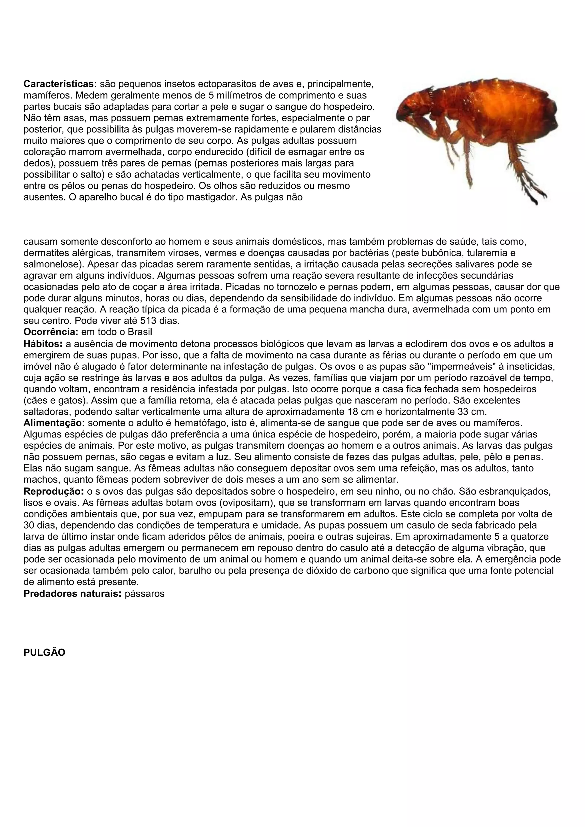 Características: são pequenos insetos ectoparasitos de aves e, principalmente,
mamíferos. Medem geralmente menos de 5 milímetros de comprimento e suas
partes bucais são adaptadas para cortar a pele e sugar o sangue do hospedeiro.
Não têm asas, mas possuem pernas extremamente fortes, especialmente o par
posterior, que possibilita às pulgas moverem-se rapidamente e pularem distâncias
muito maiores que o comprimento de seu corpo. As pulgas adultas possuem
coloração marrom avermelhada, corpo endurecido (difícil de esmagar entre os
dedos), possuem três pares de pernas (pernas posteriores mais largas para
possibilitar o salto) e são achatadas verticalmente, o que facilita seu movimento
entre os pêlos ou penas do hospedeiro. Os olhos são reduzidos ou mesmo
ausentes. O aparelho bucal é do tipo mastigador. As pulgas não
causam somente desconforto ao homem e seus animais domésticos, mas também problemas de saúde, tais como,
dermatites alérgicas, transmitem viroses, vermes e doenças causadas por bactérias (peste bubônica, tularemia e
salmonelose). Apesar das picadas serem raramente sentidas, a irritação causada pelas secreções salivares pode se
agravar em alguns indivíduos. Algumas pessoas sofrem uma reação severa resultante de infecções secundárias
ocasionadas pelo ato de coçar a área irritada. Picadas no tornozelo e pernas podem, em algumas pessoas, causar dor que
pode durar alguns minutos, horas ou dias, dependendo da sensibilidade do indivíduo. Em algumas pessoas não ocorre
qualquer reação. A reação típica da picada é a formação de uma pequena mancha dura, avermelhada com um ponto em
seu centro. Pode viver até 513 dias.
Ocorrência: em todo o Brasil
Hábitos: a ausência de movimento detona processos biológicos que levam as larvas a eclodirem dos ovos e os adultos a
emergirem de suas pupas. Por isso, que a falta de movimento na casa durante as férias ou durante o período em que um
imóvel não é alugado é fator determinante na infestação de pulgas. Os ovos e as pupas são "impermeáveis" à inseticidas,
cuja ação se restringe às larvas e aos adultos da pulga. As vezes, famílias que viajam por um período razoável de tempo,
quando voltam, encontram a residência infestada por pulgas. Isto ocorre porque a casa fica fechada sem hospedeiros
(cães e gatos). Assim que a família retorna, ela é atacada pelas pulgas que nasceram no período. São excelentes
saltadoras, podendo saltar verticalmente uma altura de aproximadamente 18 cm e horizontalmente 33 cm.
Alimentação: somente o adulto é hematófago, isto é, alimenta-se de sangue que pode ser de aves ou mamíferos.
Algumas espécies de pulgas dão preferência a uma única espécie de hospedeiro, porém, a maioria pode sugar várias
espécies de animais. Por este motivo, as pulgas transmitem doenças ao homem e a outros animais. As larvas das pulgas
não possuem pernas, são cegas e evitam a luz. Seu alimento consiste de fezes das pulgas adultas, pele, pêlo e penas.
Elas não sugam sangue. As fêmeas adultas não conseguem depositar ovos sem uma refeição, mas os adultos, tanto
machos, quanto fêmeas podem sobreviver de dois meses a um ano sem se alimentar.
Reprodução: o s ovos das pulgas são depositados sobre o hospedeiro, em seu ninho, ou no chão. São esbranquiçados,
lisos e ovais. As fêmeas adultas botam ovos (ovipositam), que se transformam em larvas quando encontram boas
condições ambientais que, por sua vez, empupam para se transformarem em adultos. Este ciclo se completa por volta de
30 dias, dependendo das condições de temperatura e umidade. As pupas possuem um casulo de seda fabricado pela
larva de último ínstar onde ficam aderidos pêlos de animais, poeira e outras sujeiras. Em aproximadamente 5 a quatorze
dias as pulgas adultas emergem ou permanecem em repouso dentro do casulo até a detecção de alguma vibração, que
pode ser ocasionada pelo movimento de um animal ou homem e quando um animal deita-se sobre ela. A emergência pode
ser ocasionada também pelo calor, barulho ou pela presença de dióxido de carbono que significa que uma fonte potencial
de alimento está presente.
Predadores naturais: pássaros
PULGÃO
 