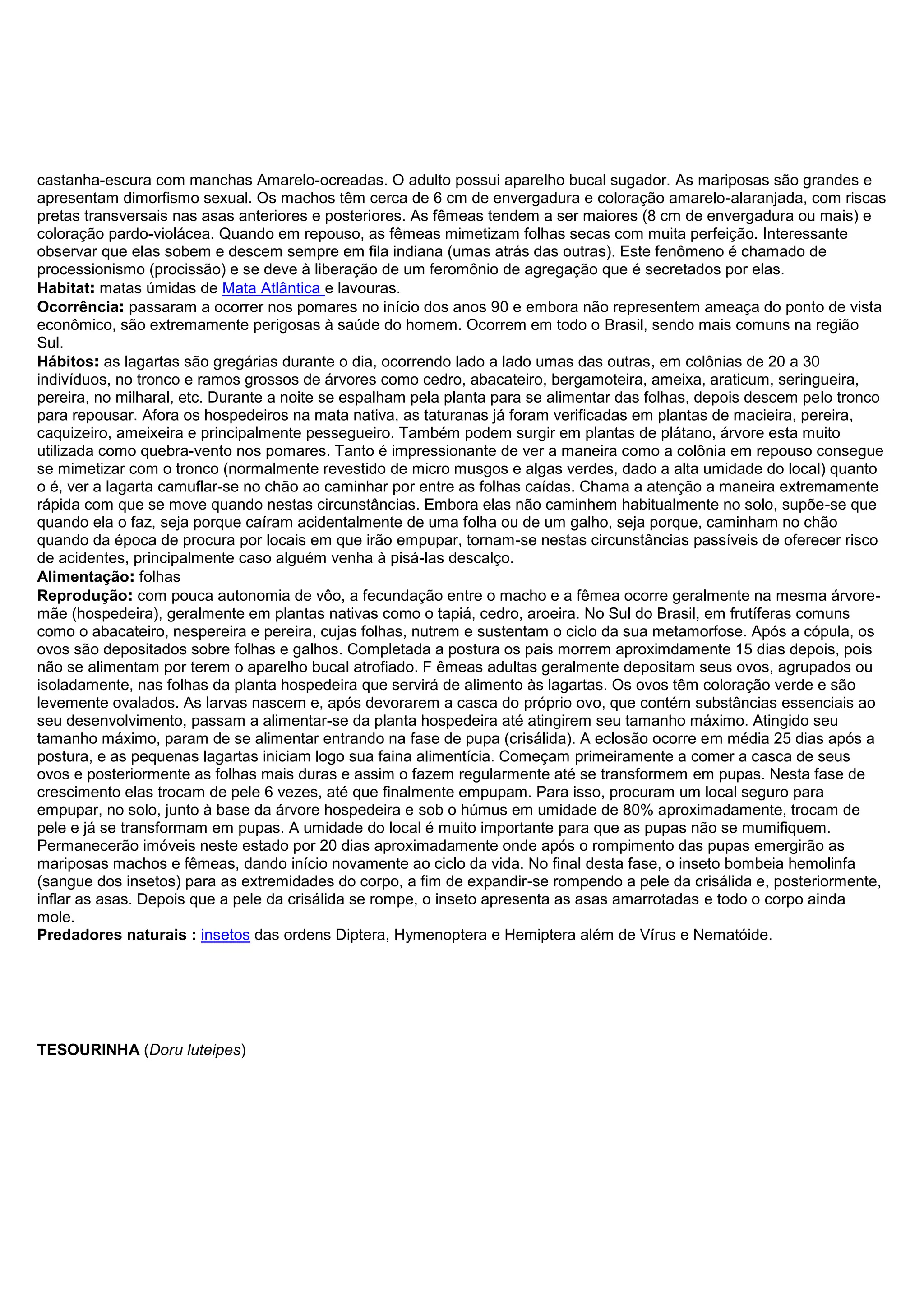 castanha-escura com manchas Amarelo-ocreadas. O adulto possui aparelho bucal sugador. As mariposas são grandes e
apresentam dimorfismo sexual. Os machos têm cerca de 6 cm de envergadura e coloração amarelo-alaranjada, com riscas
pretas transversais nas asas anteriores e posteriores. As fêmeas tendem a ser maiores (8 cm de envergadura ou mais) e
coloração pardo-violácea. Quando em repouso, as fêmeas mimetizam folhas secas com muita perfeição. Interessante
observar que elas sobem e descem sempre em fila indiana (umas atrás das outras). Este fenômeno é chamado de
processionismo (procissão) e se deve à liberação de um feromônio de agregação que é secretados por elas.
Habitat: matas úmidas de Mata Atlântica e lavouras.
Ocorrência: passaram a ocorrer nos pomares no início dos anos 90 e embora não representem ameaça do ponto de vista
econômico, são extremamente perigosas à saúde do homem. Ocorrem em todo o Brasil, sendo mais comuns na região
Sul.
Hábitos: as lagartas são gregárias durante o dia, ocorrendo lado a lado umas das outras, em colônias de 20 a 30
indivíduos, no tronco e ramos grossos de árvores como cedro, abacateiro, bergamoteira, ameixa, araticum, seringueira,
pereira, no milharal, etc. Durante a noite se espalham pela planta para se alimentar das folhas, depois descem pelo tronco
para repousar. Afora os hospedeiros na mata nativa, as taturanas já foram verificadas em plantas de macieira, pereira,
caquizeiro, ameixeira e principalmente pessegueiro. Também podem surgir em plantas de plátano, árvore esta muito
utilizada como quebra-vento nos pomares. Tanto é impressionante de ver a maneira como a colônia em repouso consegue
se mimetizar com o tronco (normalmente revestido de micro musgos e algas verdes, dado a alta umidade do local) quanto
o é, ver a lagarta camuflar-se no chão ao caminhar por entre as folhas caídas. Chama a atenção a maneira extremamente
rápida com que se move quando nestas circunstâncias. Embora elas não caminhem habitualmente no solo, supõe-se que
quando ela o faz, seja porque caíram acidentalmente de uma folha ou de um galho, seja porque, caminham no chão
quando da época de procura por locais em que irão empupar, tornam-se nestas circunstâncias passíveis de oferecer risco
de acidentes, principalmente caso alguém venha à pisá-las descalço.
Alimentação: folhas
Reprodução: com pouca autonomia de vôo, a fecundação entre o macho e a fêmea ocorre geralmente na mesma árvore-
mãe (hospedeira), geralmente em plantas nativas como o tapiá, cedro, aroeira. No Sul do Brasil, em frutíferas comuns
como o abacateiro, nespereira e pereira, cujas folhas, nutrem e sustentam o ciclo da sua metamorfose. Após a cópula, os
ovos são depositados sobre folhas e galhos. Completada a postura os pais morrem aproximdamente 15 dias depois, pois
não se alimentam por terem o aparelho bucal atrofiado. F êmeas adultas geralmente depositam seus ovos, agrupados ou
isoladamente, nas folhas da planta hospedeira que servirá de alimento às lagartas. Os ovos têm coloração verde e são
levemente ovalados. As larvas nascem e, após devorarem a casca do próprio ovo, que contém substâncias essenciais ao
seu desenvolvimento, passam a alimentar-se da planta hospedeira até atingirem seu tamanho máximo. Atingido seu
tamanho máximo, param de se alimentar entrando na fase de pupa (crisálida). A eclosão ocorre em média 25 dias após a
postura, e as pequenas lagartas iniciam logo sua faina alimentícia. Começam primeiramente a comer a casca de seus
ovos e posteriormente as folhas mais duras e assim o fazem regularmente até se transformem em pupas. Nesta fase de
crescimento elas trocam de pele 6 vezes, até que finalmente empupam. Para isso, procuram um local seguro para
empupar, no solo, junto à base da árvore hospedeira e sob o húmus em umidade de 80% aproximadamente, trocam de
pele e já se transformam em pupas. A umidade do local é muito importante para que as pupas não se mumifiquem.
Permanecerão imóveis neste estado por 20 dias aproximadamente onde após o rompimento das pupas emergirão as
mariposas machos e fêmeas, dando início novamente ao ciclo da vida. No final desta fase, o inseto bombeia hemolinfa
(sangue dos insetos) para as extremidades do corpo, a fim de expandir-se rompendo a pele da crisálida e, posteriormente,
inflar as asas. Depois que a pele da crisálida se rompe, o inseto apresenta as asas amarrotadas e todo o corpo ainda
mole.
Predadores naturais : insetos das ordens Diptera, Hymenoptera e Hemiptera além de Vírus e Nematóide.
TESOURINHA (Doru luteipes)
 