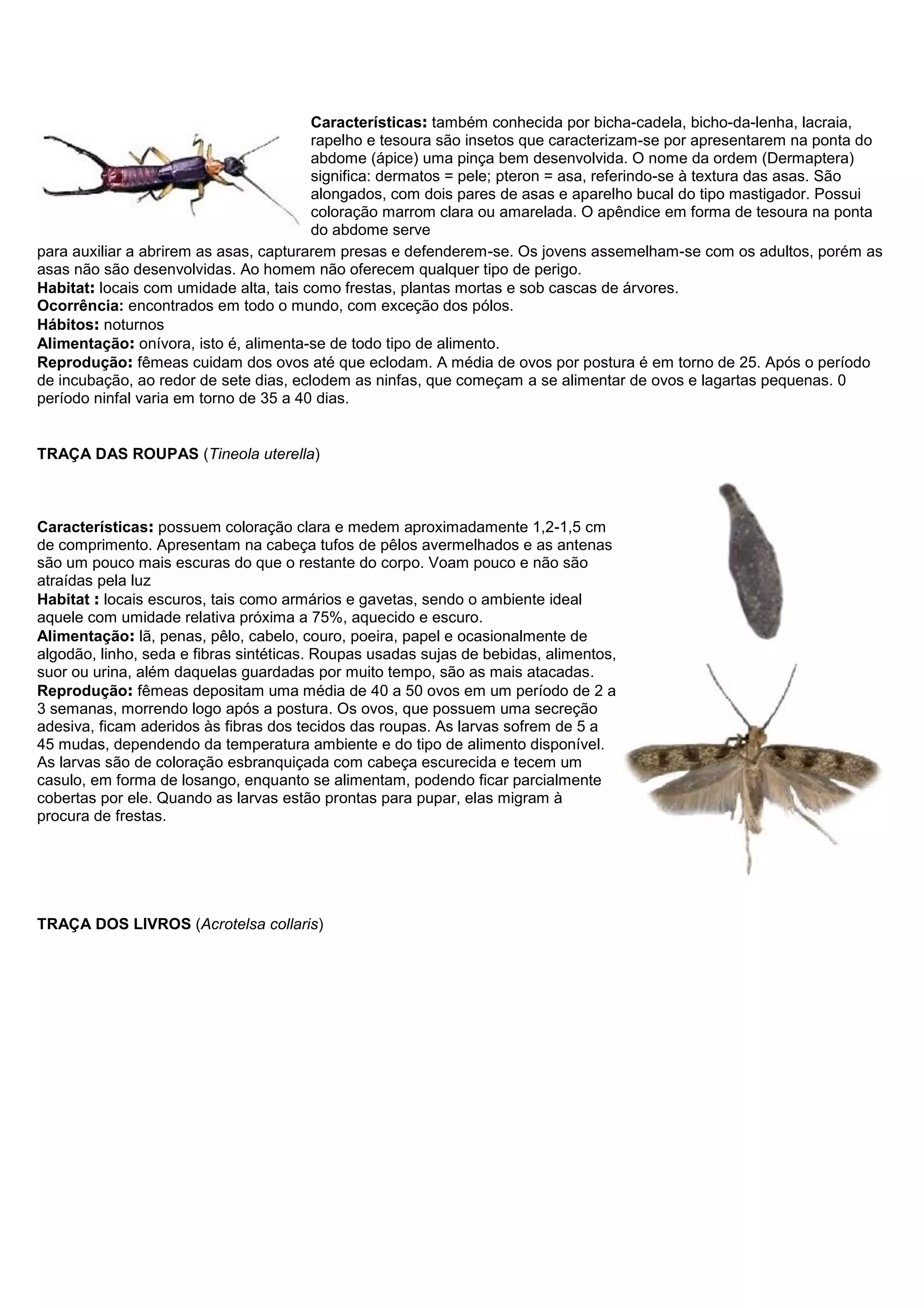 Características: também conhecida por bicha-cadela, bicho-da-lenha, lacraia,
rapelho e tesoura são insetos que caracterizam-se por apresentarem na ponta do
abdome (ápice) uma pinça bem desenvolvida. O nome da ordem (Dermaptera)
significa: dermatos = pele; pteron = asa, referindo-se à textura das asas. São
alongados, com dois pares de asas e aparelho bucal do tipo mastigador. Possui
coloração marrom clara ou amarelada. O apêndice em forma de tesoura na ponta
do abdome serve
para auxiliar a abrirem as asas, capturarem presas e defenderem-se. Os jovens assemelham-se com os adultos, porém as
asas não são desenvolvidas. Ao homem não oferecem qualquer tipo de perigo.
Habitat: locais com umidade alta, tais como frestas, plantas mortas e sob cascas de árvores.
Ocorrência: encontrados em todo o mundo, com exceção dos pólos.
Hábitos: noturnos
Alimentação: onívora, isto é, alimenta-se de todo tipo de alimento.
Reprodução: fêmeas cuidam dos ovos até que eclodam. A média de ovos por postura é em torno de 25. Após o período
de incubação, ao redor de sete dias, eclodem as ninfas, que começam a se alimentar de ovos e lagartas pequenas. 0
período ninfal varia em torno de 35 a 40 dias.
TRAÇA DAS ROUPAS (Tineola uterella)
Características: possuem coloração clara e medem aproximadamente 1,2-1,5 cm
de comprimento. Apresentam na cabeça tufos de pêlos avermelhados e as antenas
são um pouco mais escuras do que o restante do corpo. Voam pouco e não são
atraídas pela luz
Habitat : locais escuros, tais como armários e gavetas, sendo o ambiente ideal
aquele com umidade relativa próxima a 75%, aquecido e escuro.
Alimentação: lã, penas, pêlo, cabelo, couro, poeira, papel e ocasionalmente de
algodão, linho, seda e fibras sintéticas. Roupas usadas sujas de bebidas, alimentos,
suor ou urina, além daquelas guardadas por muito tempo, são as mais atacadas.
Reprodução: fêmeas depositam uma média de 40 a 50 ovos em um período de 2 a
3 semanas, morrendo logo após a postura. Os ovos, que possuem uma secreção
adesiva, ficam aderidos às fibras dos tecidos das roupas. As larvas sofrem de 5 a
45 mudas, dependendo da temperatura ambiente e do tipo de alimento disponível.
As larvas são de coloração esbranquiçada com cabeça escurecida e tecem um
casulo, em forma de losango, enquanto se alimentam, podendo ficar parcialmente
cobertas por ele. Quando as larvas estão prontas para pupar, elas migram à
procura de frestas.
TRAÇA DOS LIVROS (Acrotelsa collaris)
 
