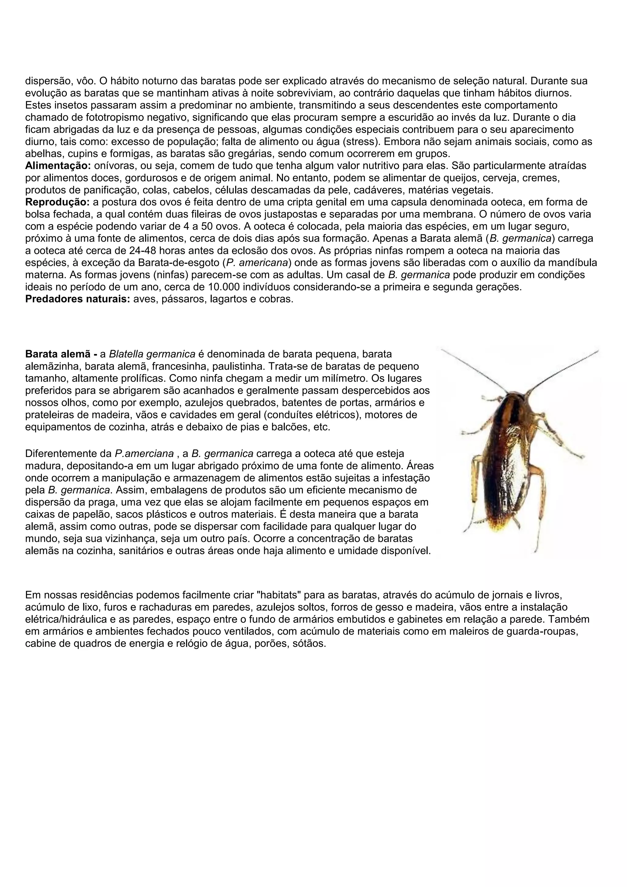 dispersão, vôo. O hábito noturno das baratas pode ser explicado através do mecanismo de seleção natural. Durante sua
evolução as baratas que se mantinham ativas à noite sobreviviam, ao contrário daquelas que tinham hábitos diurnos.
Estes insetos passaram assim a predominar no ambiente, transmitindo a seus descendentes este comportamento
chamado de fototropismo negativo, significando que elas procuram sempre a escuridão ao invés da luz. Durante o dia
ficam abrigadas da luz e da presença de pessoas, algumas condições especiais contribuem para o seu aparecimento
diurno, tais como: excesso de população; falta de alimento ou água (stress). Embora não sejam animais sociais, como as
abelhas, cupins e formigas, as baratas são gregárias, sendo comum ocorrerem em grupos.
Alimentação: onívoras, ou seja, comem de tudo que tenha algum valor nutritivo para elas. São particularmente atraídas
por alimentos doces, gordurosos e de origem animal. No entanto, podem se alimentar de queijos, cerveja, cremes,
produtos de panificação, colas, cabelos, células descamadas da pele, cadáveres, matérias vegetais.
Reprodução: a postura dos ovos é feita dentro de uma cripta genital em uma capsula denominada ooteca, em forma de
bolsa fechada, a qual contém duas fileiras de ovos justapostas e separadas por uma membrana. O número de ovos varia
com a espécie podendo variar de 4 a 50 ovos. A ooteca é colocada, pela maioria das espécies, em um lugar seguro,
próximo à uma fonte de alimentos, cerca de dois dias após sua formação. Apenas a Barata alemã (B. germanica) carrega
a ooteca até cerca de 24-48 horas antes da eclosão dos ovos. As próprias ninfas rompem a ooteca na maioria das
espécies, à exceção da Barata-de-esgoto (P. americana) onde as formas jovens são liberadas com o auxílio da mandíbula
materna. As formas jovens (ninfas) parecem-se com as adultas. Um casal de B. germanica pode produzir em condições
ideais no período de um ano, cerca de 10.000 indivíduos considerando-se a primeira e segunda gerações.
Predadores naturais: aves, pássaros, lagartos e cobras.
Barata alemã - a Blatella germanica é denominada de barata pequena, barata
alemãzinha, barata alemã, francesinha, paulistinha. Trata-se de baratas de pequeno
tamanho, altamente prolíficas. Como ninfa chegam a medir um milímetro. Os lugares
preferidos para se abrigarem são acanhados e geralmente passam despercebidos aos
nossos olhos, como por exemplo, azulejos quebrados, batentes de portas, armários e
prateleiras de madeira, vãos e cavidades em geral (conduítes elétricos), motores de
equipamentos de cozinha, atrás e debaixo de pias e balcões, etc.
Diferentemente da P.amerciana , a B. germanica carrega a ooteca até que esteja
madura, depositando-a em um lugar abrigado próximo de uma fonte de alimento. Áreas
onde ocorrem a manipulação e armazenagem de alimentos estão sujeitas a infestação
pela B. germanica. Assim, embalagens de produtos são um eficiente mecanismo de
dispersão da praga, uma vez que elas se alojam facilmente em pequenos espaços em
caixas de papelão, sacos plásticos e outros materiais. É desta maneira que a barata
alemã, assim como outras, pode se dispersar com facilidade para qualquer lugar do
mundo, seja sua vizinhança, seja um outro país. Ocorre a concentração de baratas
alemãs na cozinha, sanitários e outras áreas onde haja alimento e umidade disponível.
Em nossas residências podemos facilmente criar "habitats" para as baratas, através do acúmulo de jornais e livros,
acúmulo de lixo, furos e rachaduras em paredes, azulejos soltos, forros de gesso e madeira, vãos entre a instalação
elétrica/hidráulica e as paredes, espaço entre o fundo de armários embutidos e gabinetes em relação a parede. Também
em armários e ambientes fechados pouco ventilados, com acúmulo de materiais como em maleiros de guarda-roupas,
cabine de quadros de energia e relógio de água, porões, sótãos.
 