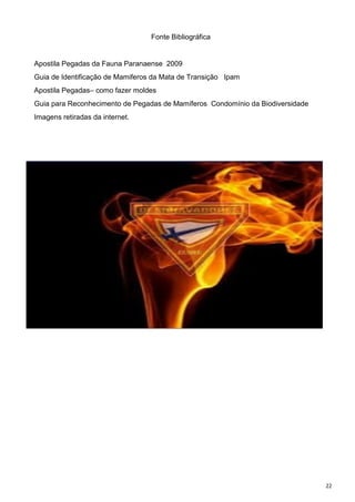 22
Fonte Bibliográfica
Apostila Pegadas da Fauna Paranaense 2009
Guia de Identificação de Mamiferos da Mata de Transição Ipam
Apostila Pegadas– como fazer moldes
Guia para Reconhecimento de Pegadas de Mamíferos Condomínio da Biodiversidade
Imagens retiradas da internet.
 