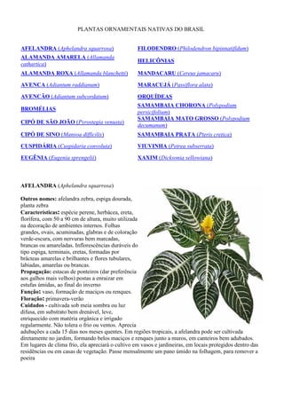 PLANTAS ORNAMENTAIS NATIVAS DO BRASIL
AFELANDRA (Aphelandra squarrosa) FILODENDRO (Philodendron bipinnatifidum)
ALAMANDA A...