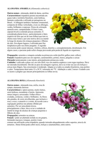 ALAMANDA AMARELA (Allamanda cathartica)
Outros nomes - alamanda, dedal de dama, carolina
Características: trepadeira peren...