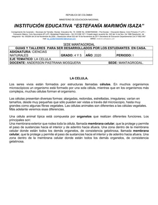 REPUBLICA DE COLOMBIA
MINISTERIO DE EDUCACION NACIONAL
INSTITUCIÓN EDUCATIVA “ESTEFANÍA MARIMÓN ISAZA”
Corregimiento De Caramelo – Municipio de Tierralta –Núcleo Educativo No. 18 –DANE No. 223807000046 – Pre-Escolar – Educación Básica Ciclo Primaria (1º a 5º) –
Educación Básica Ciclo Secundaria (6º a 9º) Modalidad Postprimaria – Nit: 812.008.107-1 Creado según acuerdo No. 022 del 14 de Nov. De 1996 Resolución de
Integración No. 000264 del 24 de Noviembre de 2004 – Resolución oficial 532 del 18 de Noviembre de 2011-Secretaria de Educación Departamental Cel.3116821487
mail: ee_22380700004601@hotmail.com WIKIS: inedesmi.wikispaces.com
SEDE MANTAGORDAL
LA CELULA.
Los seres vivos están formados por estructuras llamadas células. En muchos organismos
microscópicos un organismo está formado por una sola célula, mientras que en los organismos más
complejos, muchas células forman el organismo.
Las células presentan diversas formas: alargadas, redondas, estrelladas, irregulares; varían en
tamaños, desde muy pequeñas que sólo pueden ser vistas a través del microscopio, hasta muy
grandes como algunas fibras vegetales. Las células animales son diferentes a las células vegetales.
Más adelante veremos esas diferencias.
Una célula animal típica está compuesta por organelos que realizan diferentes funciones. Los
principales son:
Una membrana exterior que rodea toda la célula, llamada membrana celular, que la protege y permite
el paso de sustancias hacia el interior y de adentro hacia afuera. Una zona dentro de la membrana
celular donde están todos los demás organelos, de consistencia gelatinosa, llamada membrana
celular, que la protege y permite el paso de sustancias hacia el interior y de adentro hacia afuera. Una
zona dentro de la membrana celular donde están todos los demás organelos, de consistencia
gelatinosa.
GUIAS Y TALLERES PARA SER DESARROLLADOS POR LOS ESTUDIANTES EN CASA.
ASIGNATURA: CIENCIAS
NATURALES GRADO: 4 Y 5 AÑO: 2020 PERIODO: I
EJE TEMATICO: LA CELULA
DOCENTE: ANDERSON PASTRANA MOSQUERA SEDE: MANTAGRODAL.
 