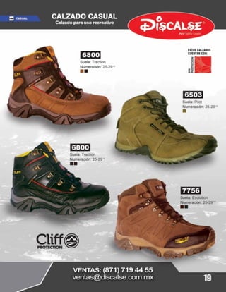 Guia de compra discalse 2013