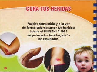 Guia de consumo ganoderma