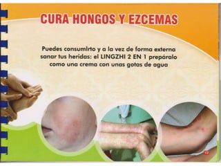 Guia de consumo ganoderma