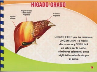 Guia de consumo ganoderma