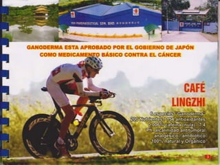 Guia de consumo ganoderma