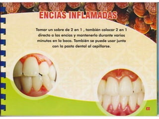 Guia de consumo ganoderma