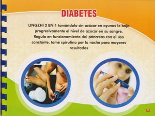 Guia de consumo ganoderma