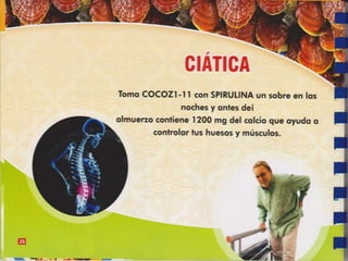 Guia de consumo ganoderma