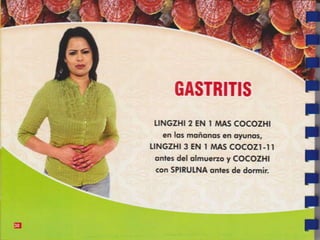 Guia de consumo ganoderma