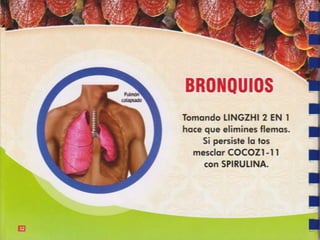 Guia de consumo ganoderma