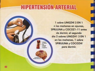Guia de consumo ganoderma