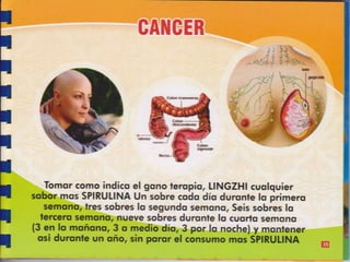 Guia de consumo ganoderma